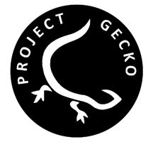 Project Gecko
